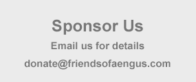 Sponsor Friends of Aengus Lyons