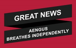 Aengus Breathes Independently
