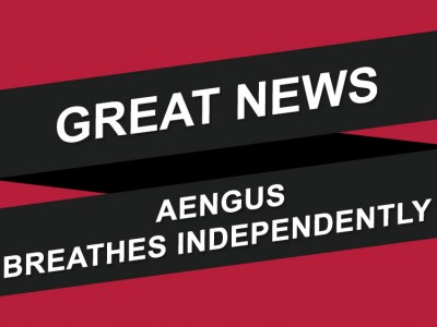 Aengus Breathes Independently