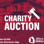 Charity Auction - Sligo